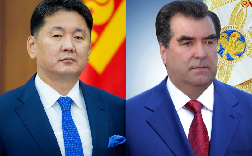 Тойм: Олон улсын төвд